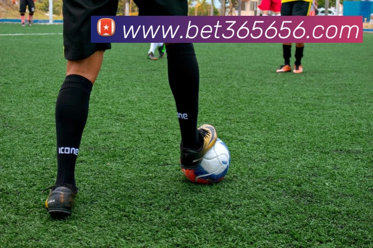 bet365中国官网平台生态图